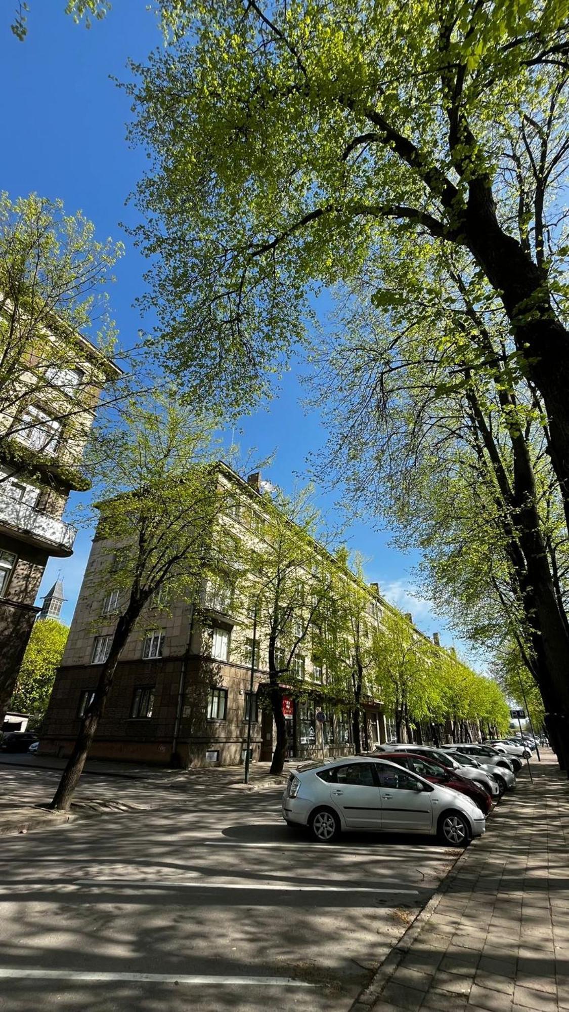 Heritage House Dane Apartment Klaipėda Exteriér fotografie